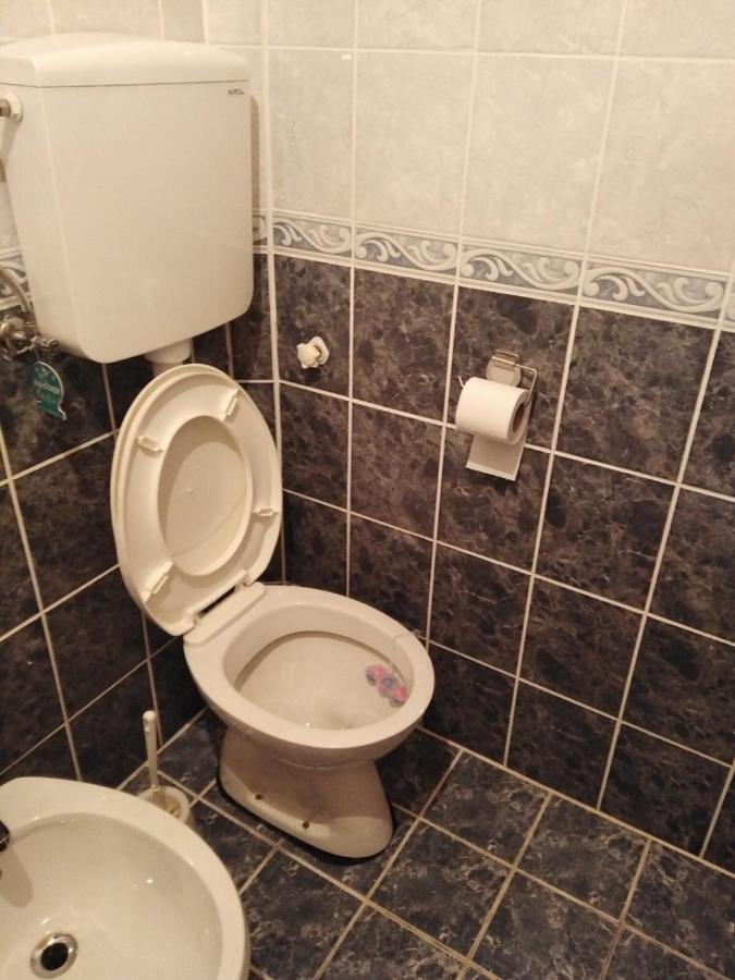 Apartmani Milojevic Divčibare Zewnętrze zdjęcie