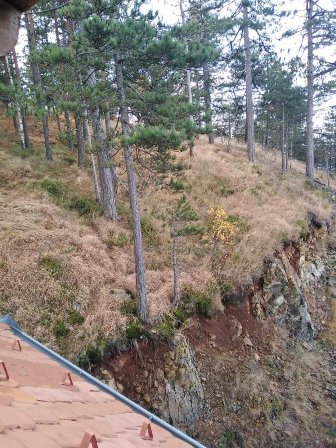 Apartmani Milojevic Divčibare Zewnętrze zdjęcie